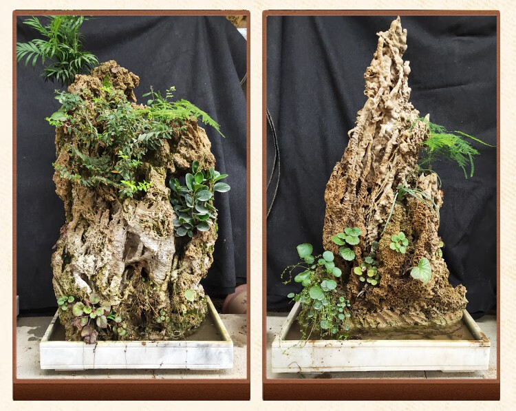 吸水石摆件吸水石原石吸水石头原石芦管石风景石上水石吸水石假山盆景