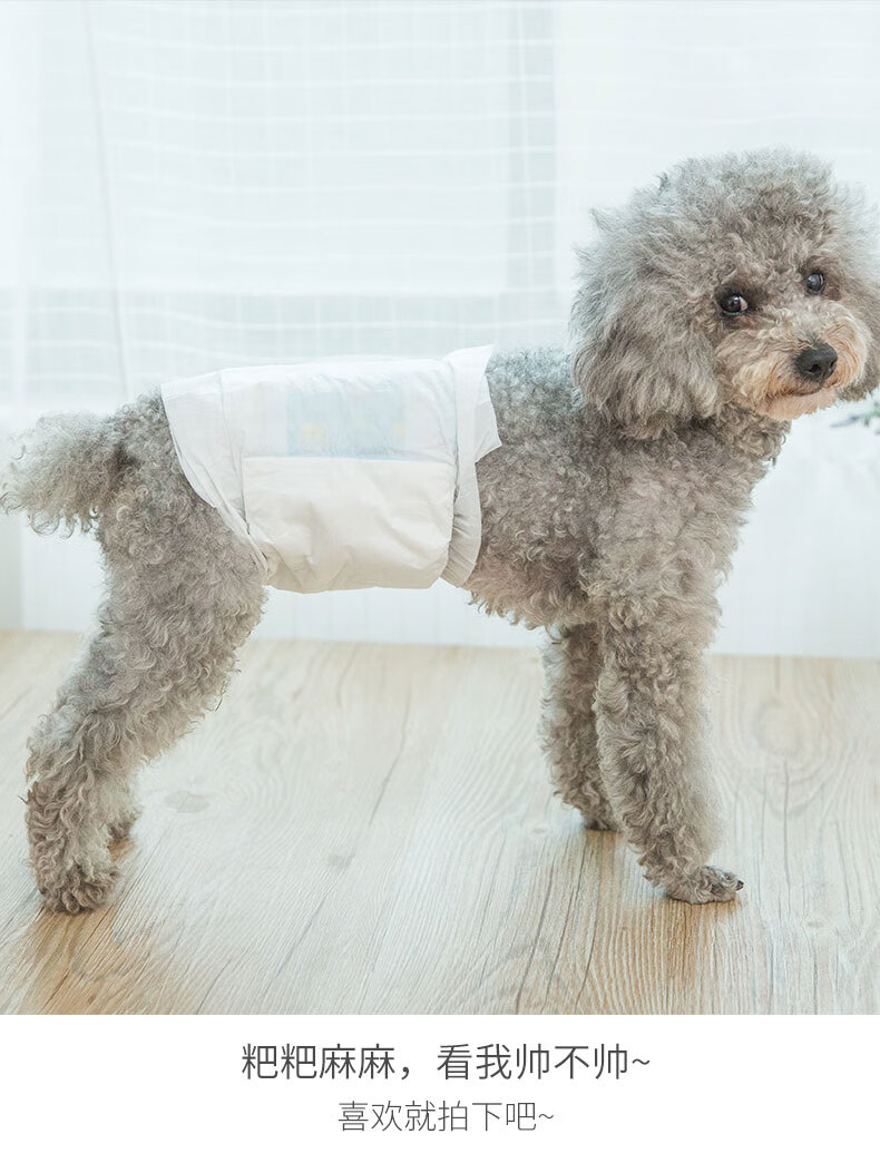珊野 公狗专用纸尿裤狗狗尿不湿泰迪小型宠物卫生生理礼貌带防交配乱