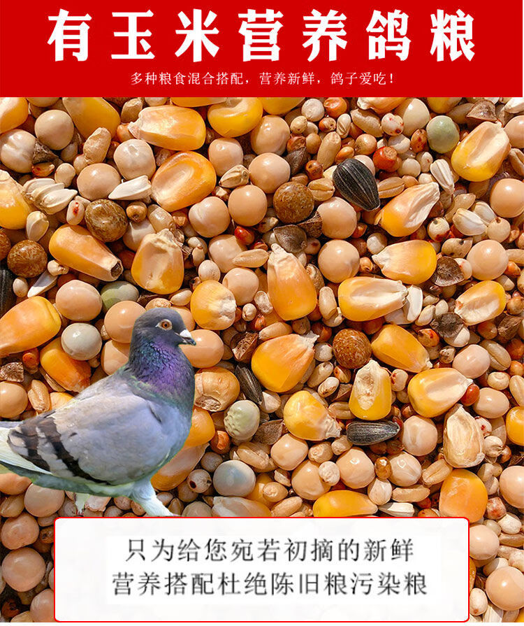 鸽子粮有玉米鸽粮食营养饲料基础鸽粮鸟食信鸽观赏鸽赛鸽肉鸽成鸽有