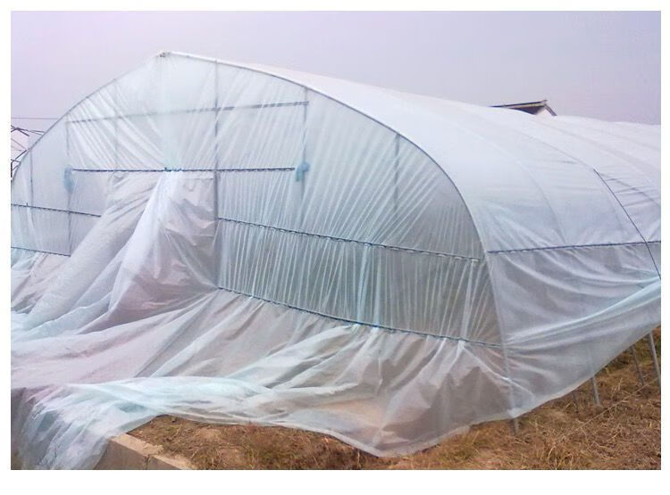 进口大棚膜消雾po膜种植蔬菜草莓无滴膜塑料薄防晒养殖黑白隔热膜进口