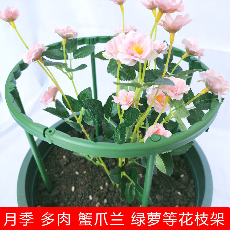 蟹爪兰花支架爬藤花支架太阳花支架防倒伏支撑杆兰花护叶护花支架