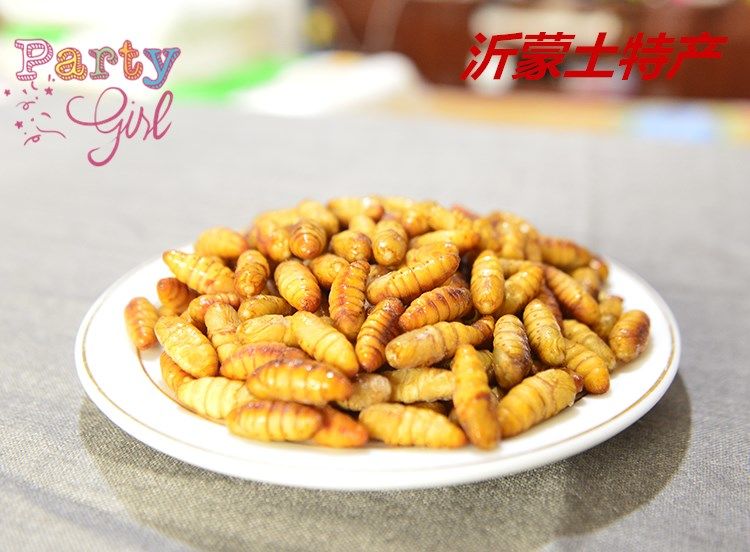 (促销)新鲜金丝蛹山东蚕蛹新鲜蝉蛹桑蚕蛹蚕蛹蛹子山东土特产 金丝蛹3