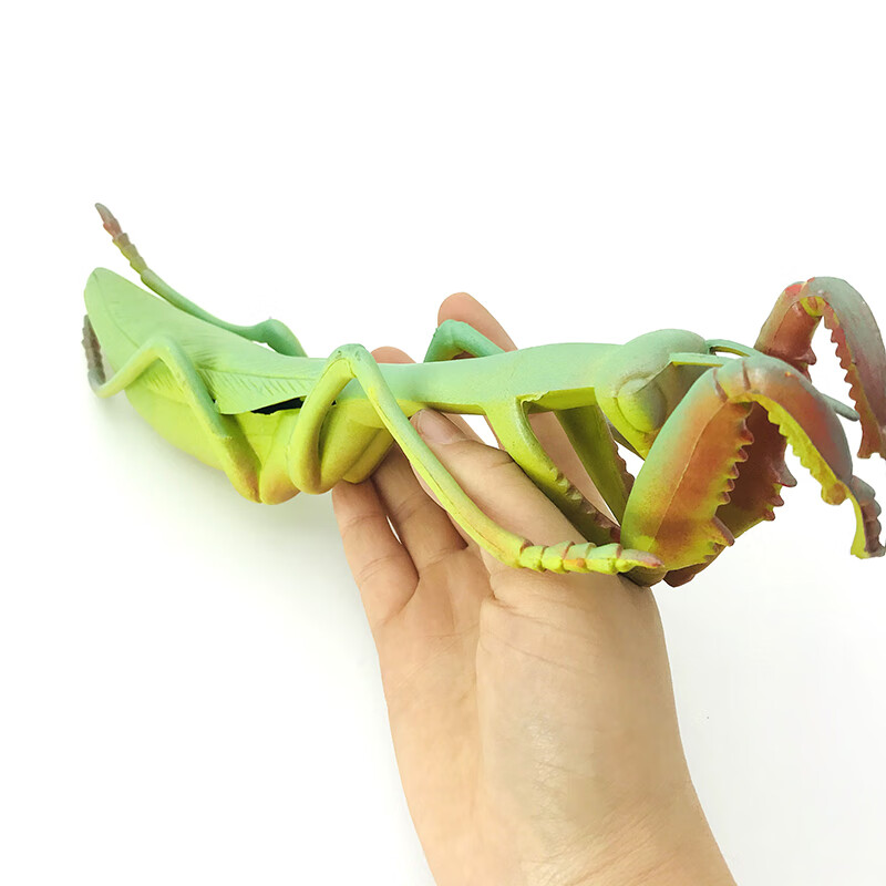 仿真昆虫模型海洋虫子蜘蛛蟋蟀动物蚂蚁蜜蜂摆件塑胶儿童玩具套装 乳