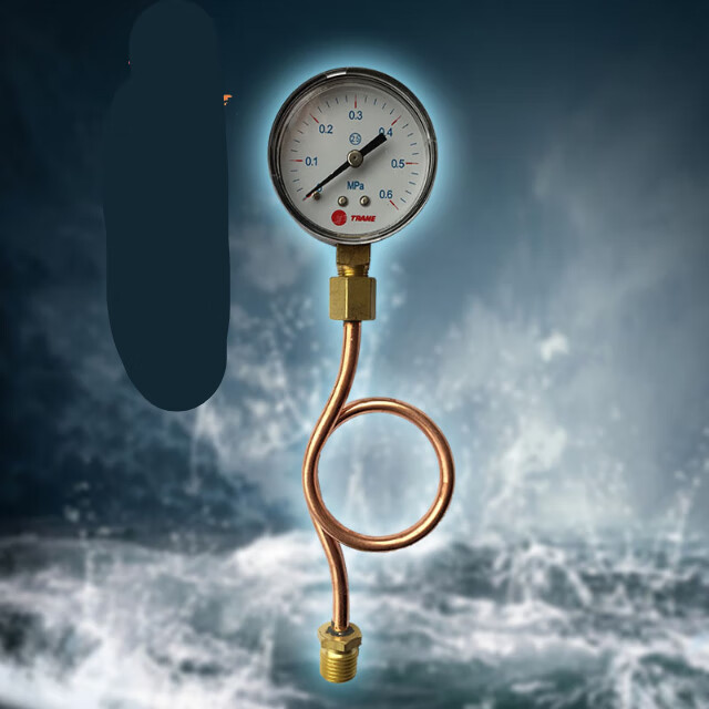 定制earcumtrane特灵风冷水机空调水压力表水表缓冲管直立铜 压力表