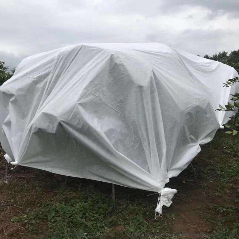 sk果树果园柑橘防寒布保温膜防水透气防冻农用无纺布农膜棚布 白色2.