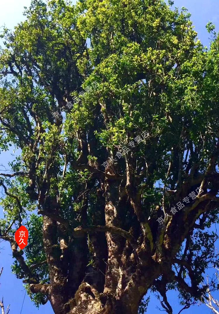 野栋 茶叶 滇红茶 野生古树红茶300g 云南凤庆老树高扬野生果香茶