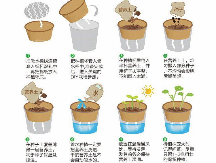 科学观察阳光种植儿童种植小盆栽植物罐头花盆栽幼儿园创意迷你diy