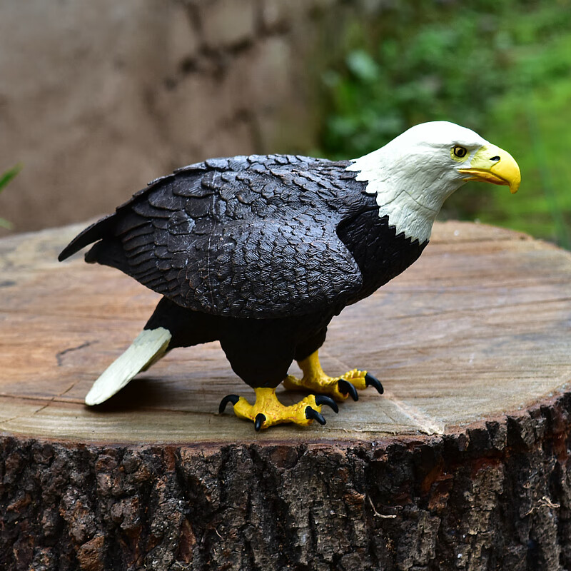 老鹰白头鹰雪鹰仿真动物模型玩偶野生动物飞禽鸟塑料摆件儿童玩具老鹰