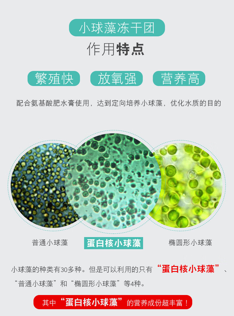 小球藻藻种冻干粉复合卵囊藻水产养殖鱼缸肥水绿藻藻种小龙虾虾蟹基础