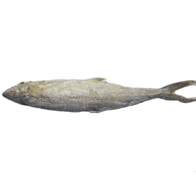 梅香马鲛鱼梅香咸鱼广东特产梅香马鲛咸鱼霉香马交咸鱼茄瓜煲500g梅香