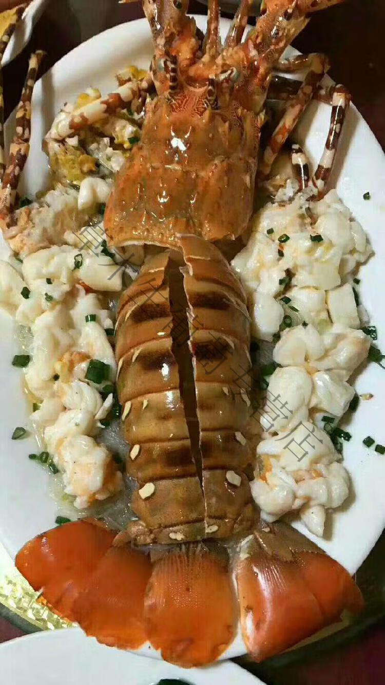 大青龙虾鲜活冷冻澳洲龙虾锦绣大花龙虾奥龙虾大红龙虾东山岛海鲜4斤