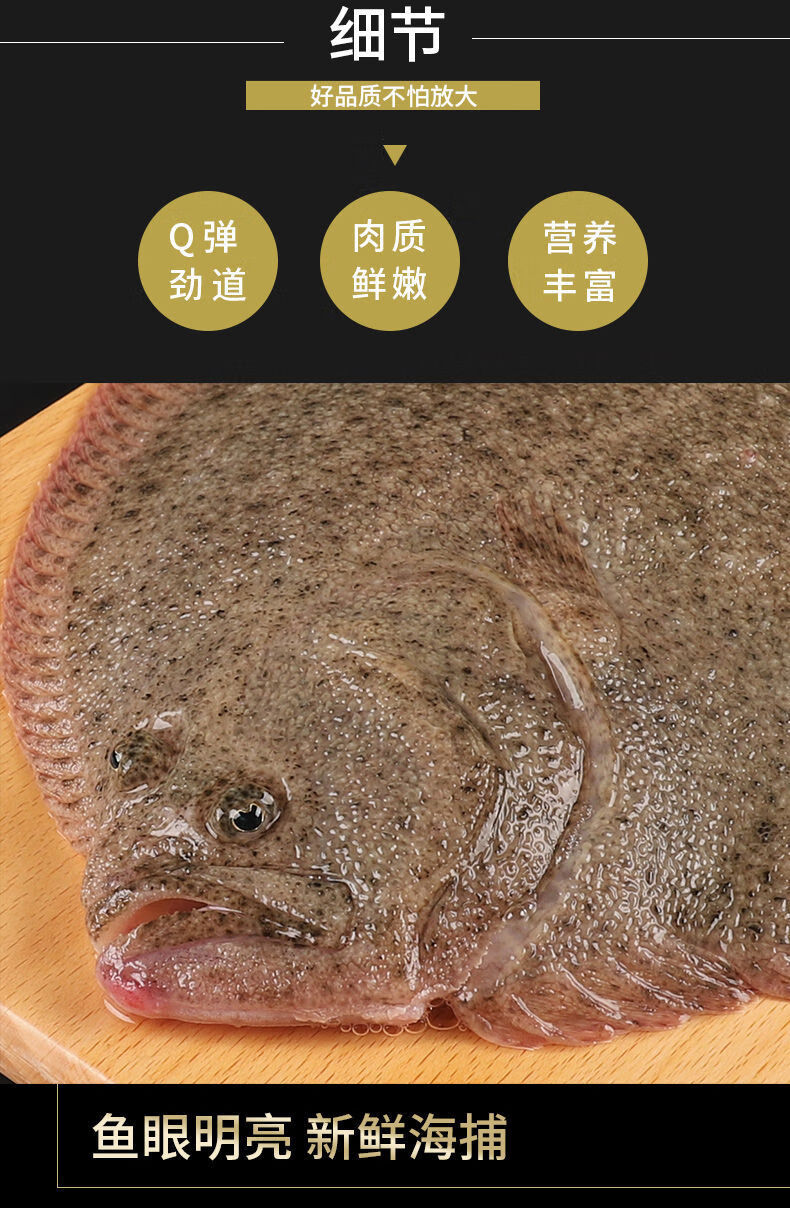 鲜活多宝鱼新鲜比目鱼大菱鲆海鲜鱼类批发水产冷冻海鲜爱维温妮79两