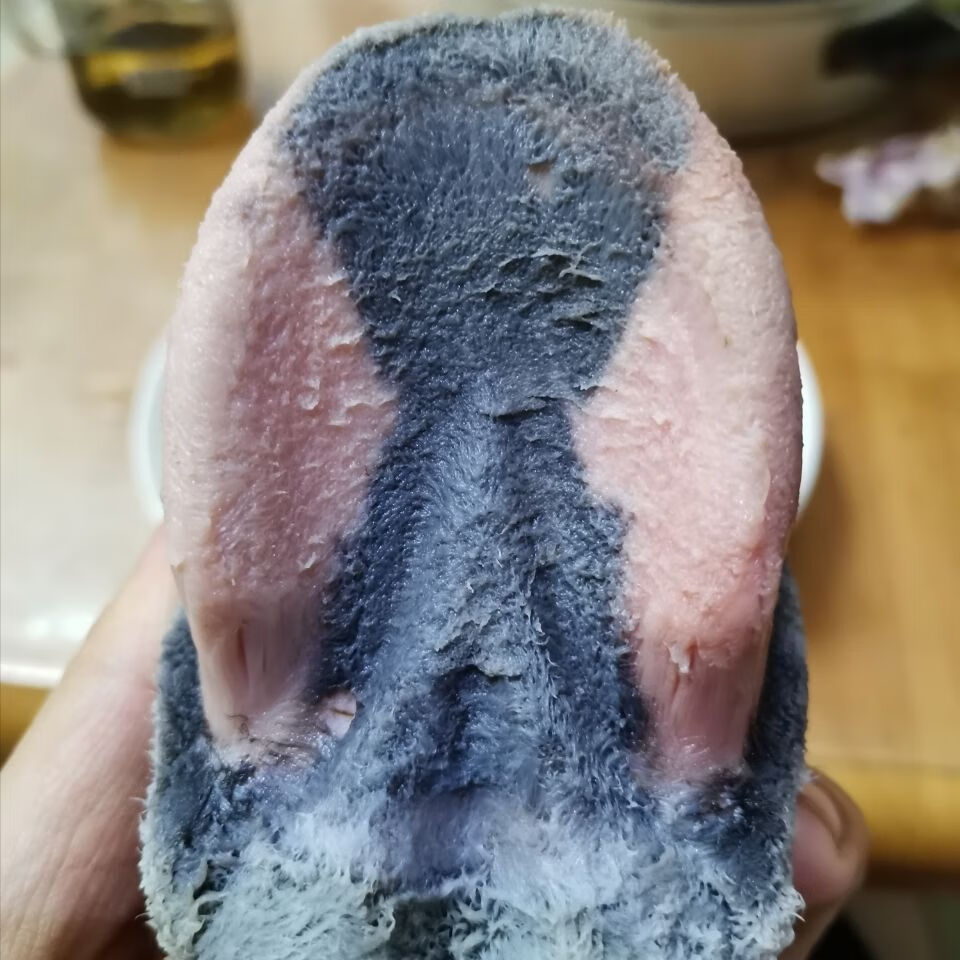 生驴蹄子冷冻黑驴蹄子 小驴蹄子带关节驴蹄子驴 普快去壳6个【图片