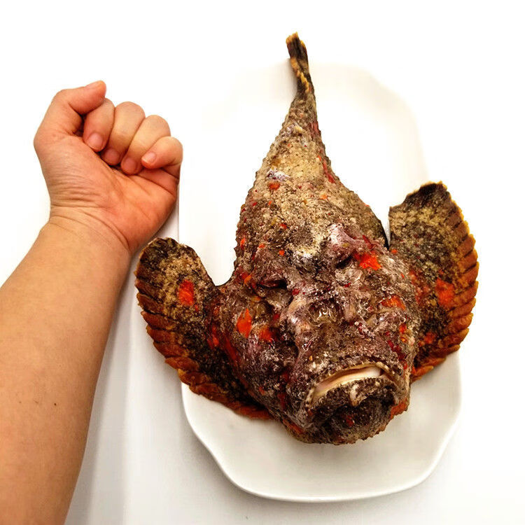 海钓石头鱼玫瑰毒鲉南沙野生海捕新鲜急冻老虎鱼海鲜水产 【去掉内脏