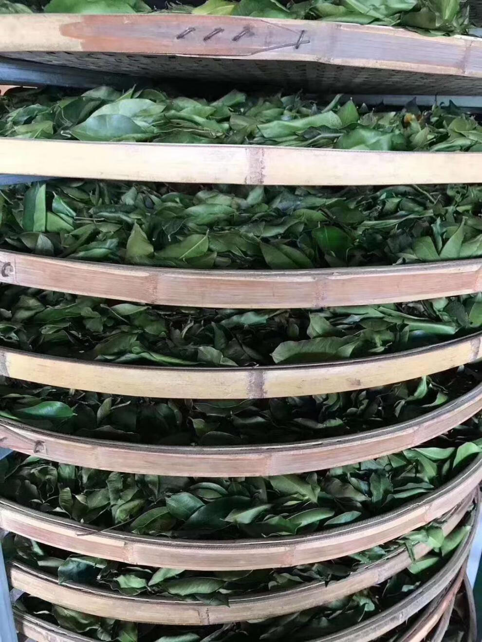 奇楠沉香茶叶 250g/袋 上新茶海南天然和胃养生茶.