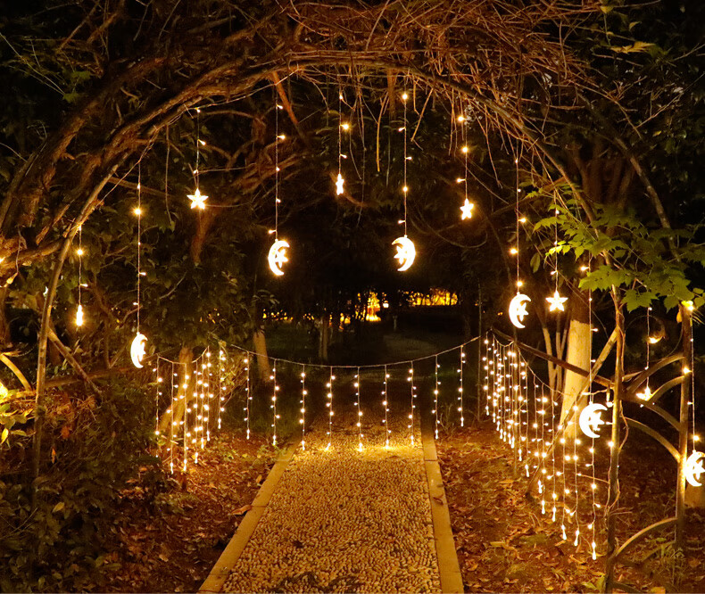 挂在树上的彩灯室外树上挂饰太阳能星星挂灯彩灯闪灯串灯满天星花园