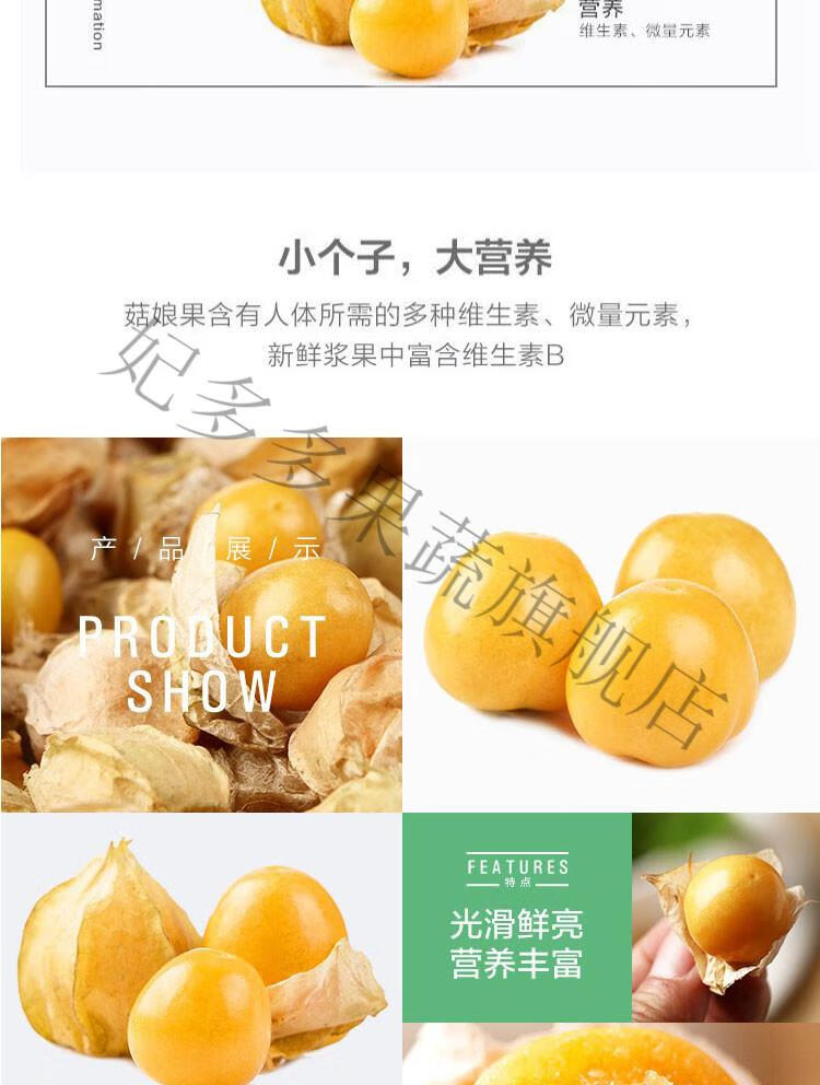 云南姑娘果3斤装 新鲜当季整箱灯笼果黄菇娘洋姑娘果大果 6斤装【图片