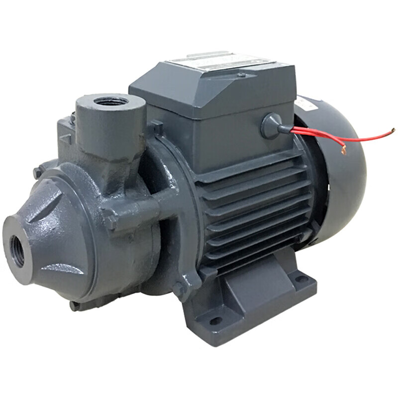 蒸汽锅炉补水泵高压旋涡泵耐高温热水循环增压泵 1/2db-70 550w220v(4