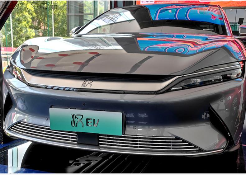 配件前脸险杠前铲车身车外专用装饰亮条2021款汉ev下部金属网2件套