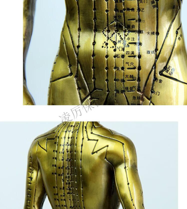 纯铜中医人体经络针灸穴位模型铜质针灸腧穴模型铜人50cm32公斤