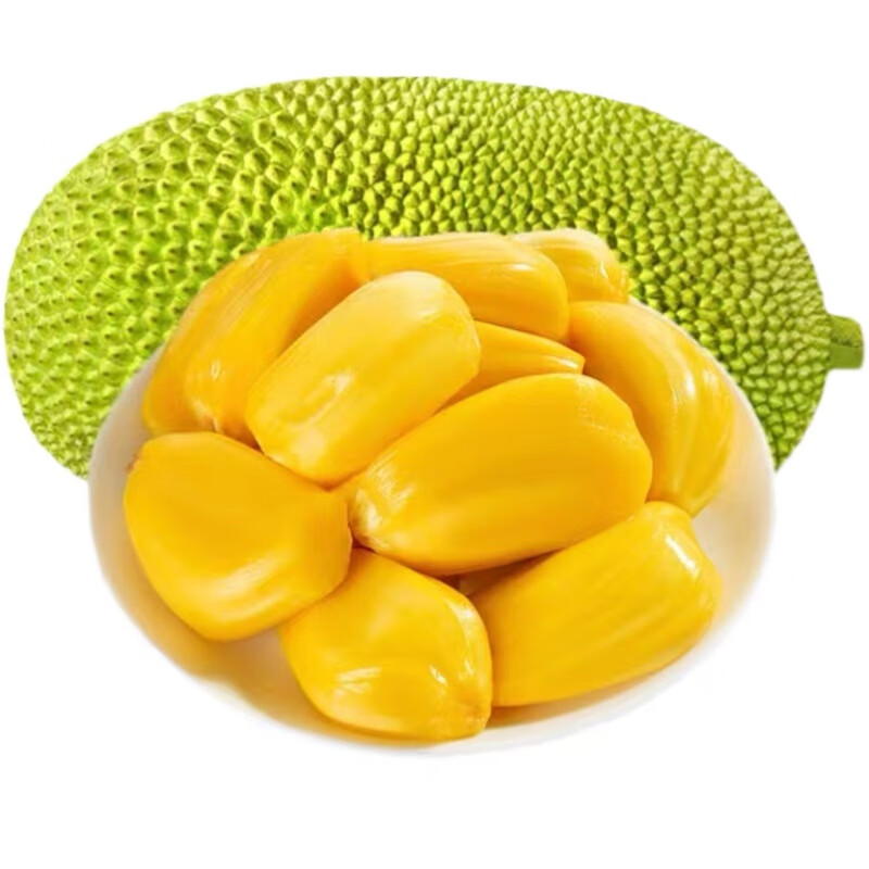 海南黄肉菠萝蜜当季新鲜水果精选波罗蜜 整个带壳14-16斤【图片 价格