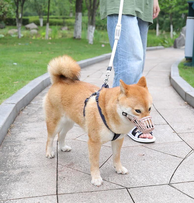 矢向 狗狗嘴套防咬人神器防叫乱吃捡食小型大型犬宠物用品泰迪金毛
