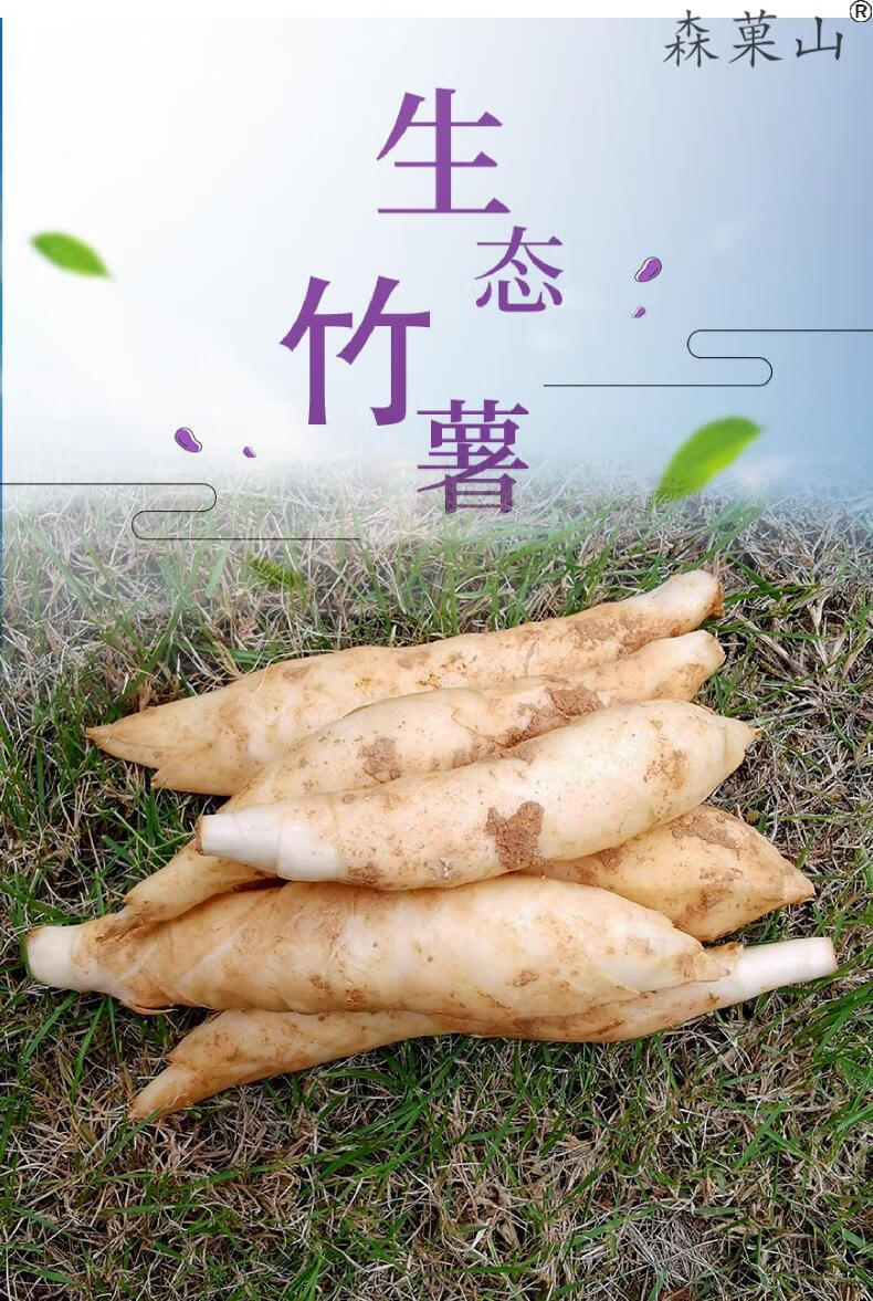 顺丰广东化州竹芋新鲜冬薯竹薯面薯化州特产农家绵薯冬芋火锅煲汤食材