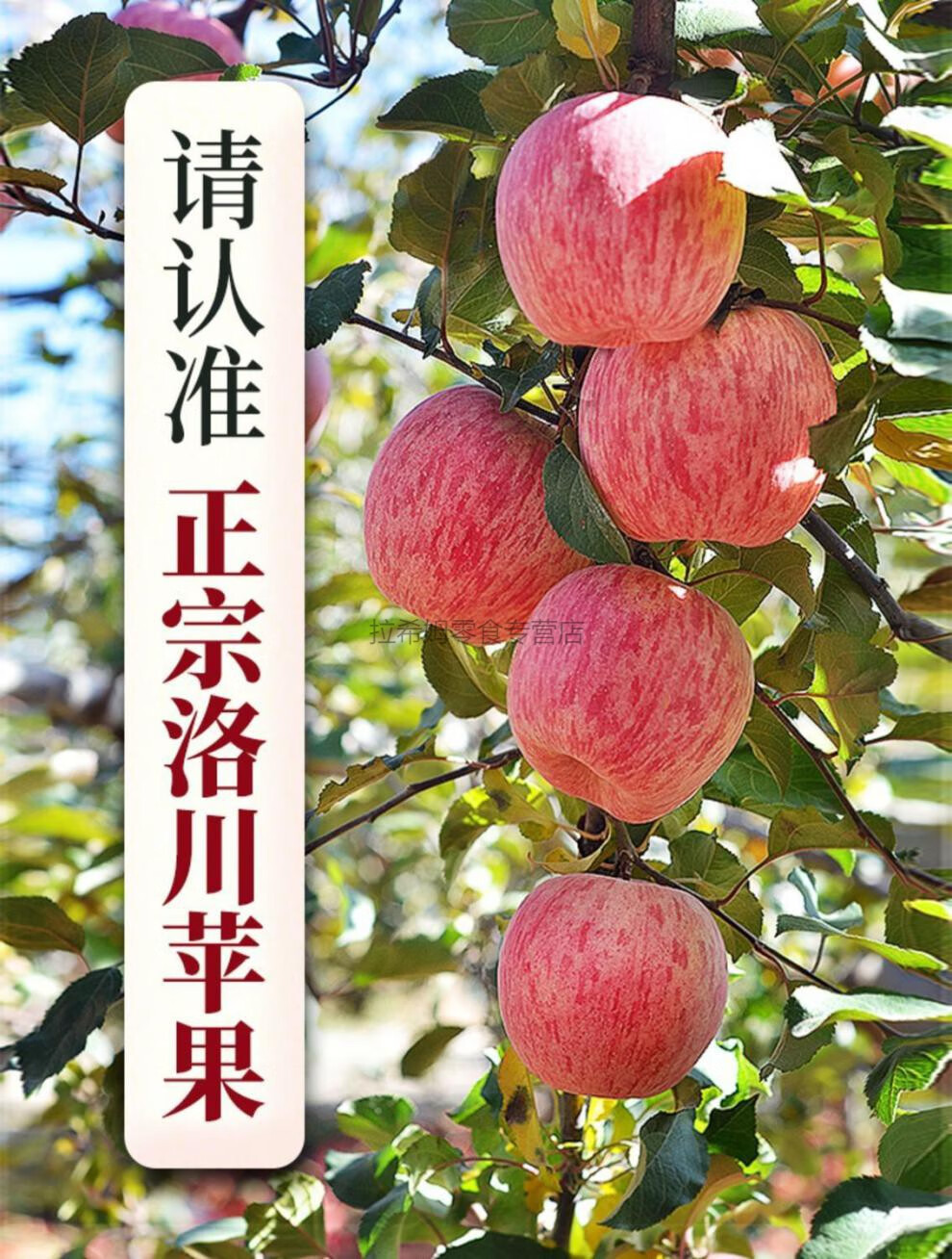 5斤【脆甜多汁】大果 正宗洛川苹果【图片 价格 品牌 报价】-京东