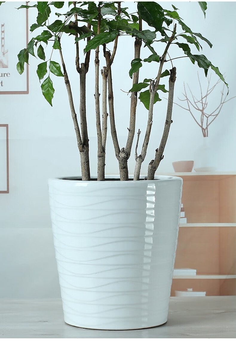 发财树盆陶瓷特大号陶瓷客厅花卉落地高花盆摆件高筒35cm发财树可种树