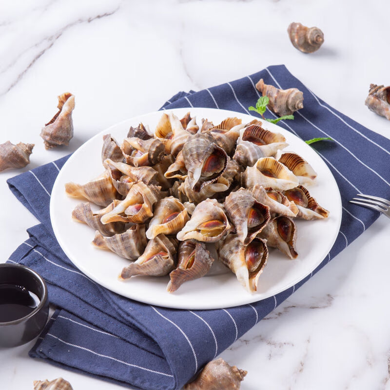 小海螺鲜活香波螺新鲜大连特产鲜活海鲜海螺丝海瓜辣螺二斤装一斤40个