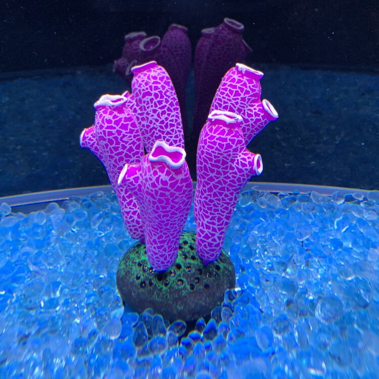 仿真软体硅胶花朵珊瑚水草鱼缸造景海底植物夜光装饰摆件 a款蓝色