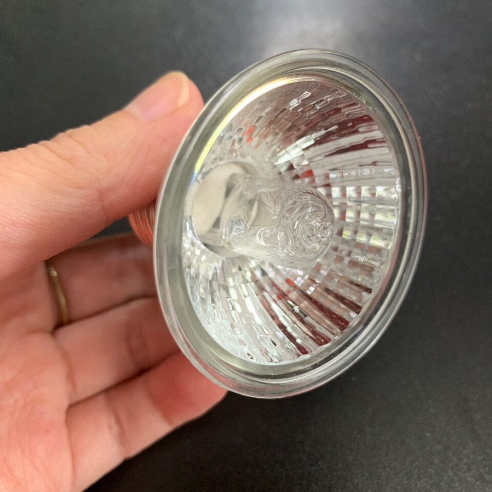 芦丁鸡爬宠保温灯鹌鹑保温箱取暖灯育雏小鸡专用取暖加热加温灯泡 50w