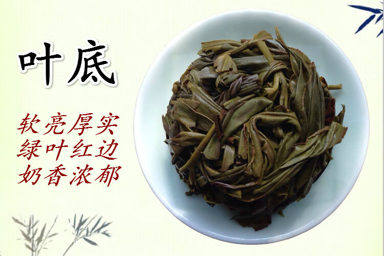 500g潮州单枞茶乌岽单丛高香雪片特级抽湿鸭屎香乌龙春茶单纵 500g