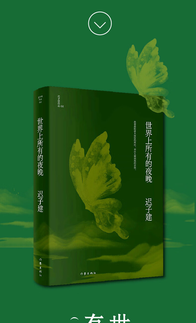世界上所有的夜晚迟子建作品茅盾文学奖鲁迅文学奖得主迟子建小说代表