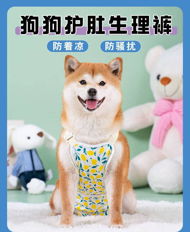 狗狗生理裤中型犬 狗狗生理裤母狗姨妈神器专用防骚扰礼貌带安全裤