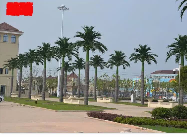 假绿植仿真椰子树大型人造景观树热带绿植装饰假椰树叶子户外假树棕榈