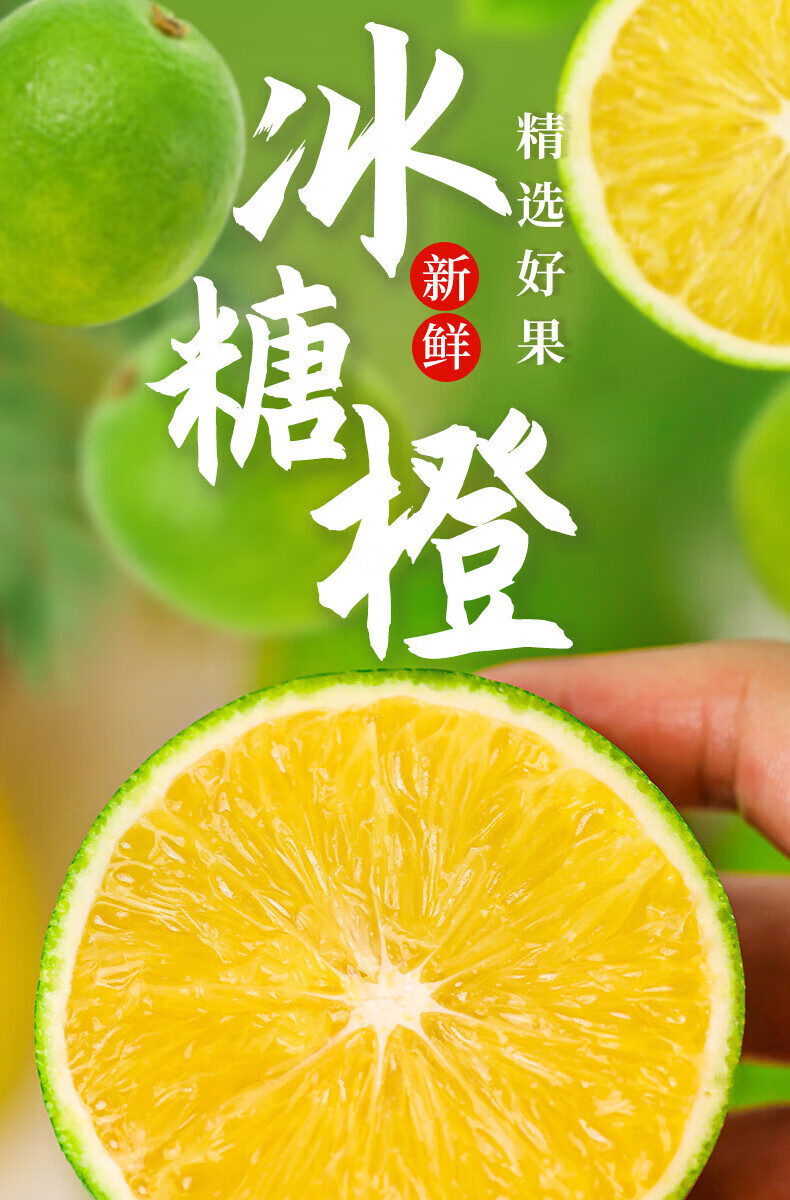 海南绿橙三亚特产新鲜橙子当季冰糖水果澄迈果冻甜脐橙