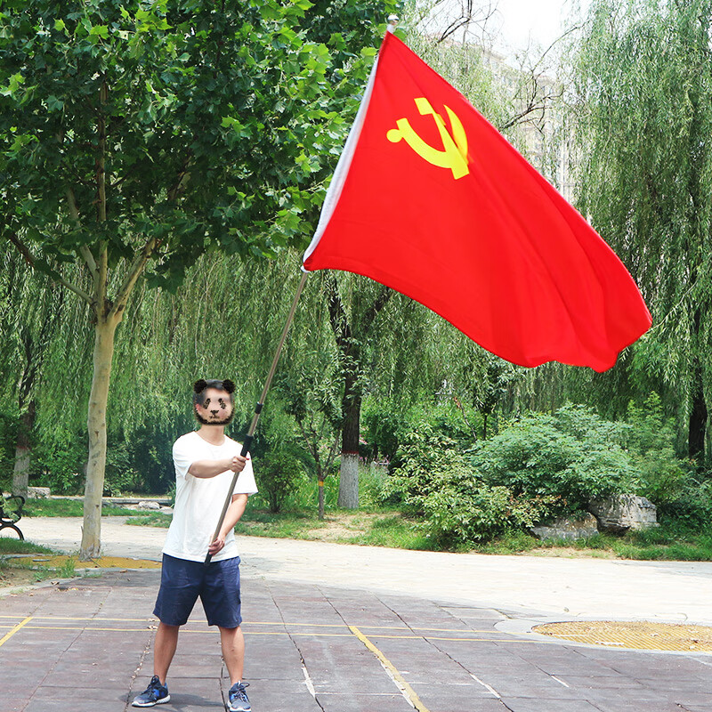 京辉黄4号党旗四号2号3号5号五号户外防水旗杆办公室壁挂大号党旗定制
