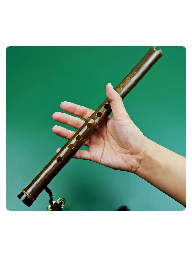 便携入门洞箫零基础紫竹短萧迷你小萧笛古风六孔c调箫乐器d潇c调