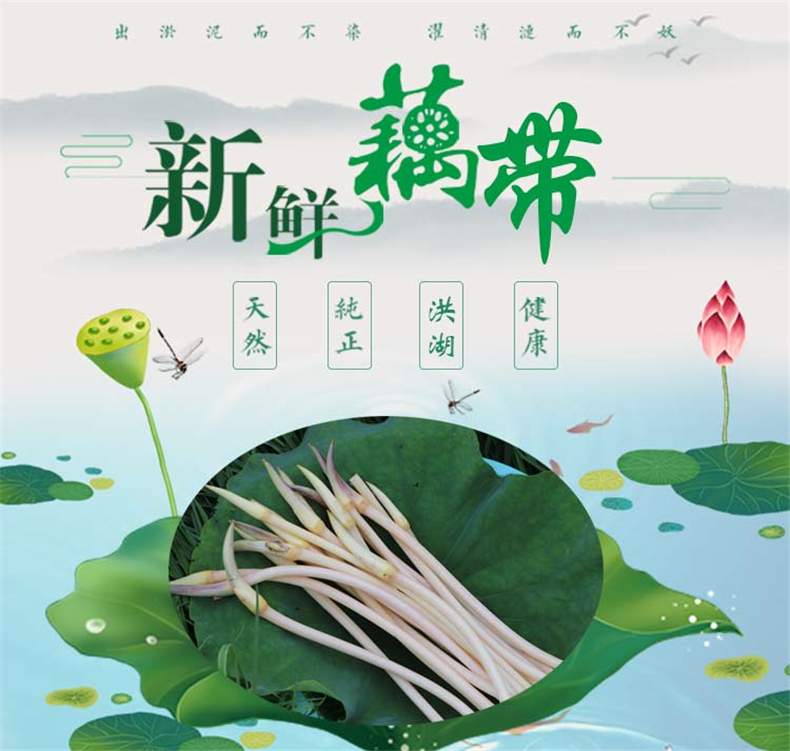 洪湖曹老乡新鲜藕带1斤特产2藕肠子莲藕尖3稍子芽健康蔬鲜莲藕带 500g