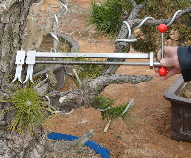 逍遥不锈钢盆景整枝器盆景粗枝造型制作拿弯调枝器工具掌柜 不锈钢