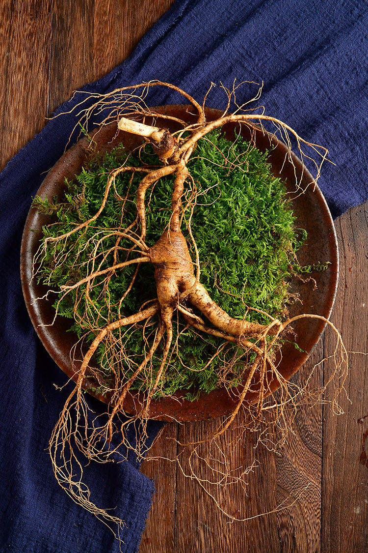 【20年足龄林下参】长白山野山参新鲜林下参移山参东北人参礼盒 单支