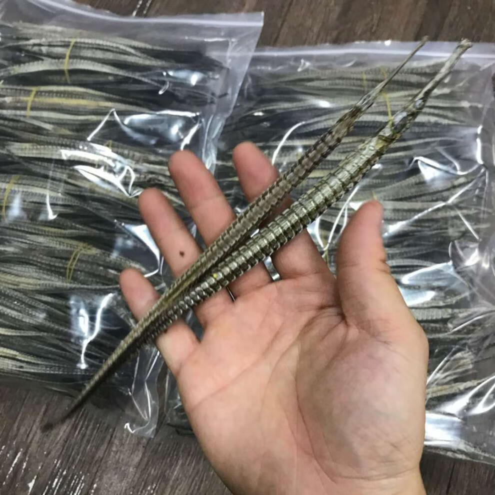 男性滋补品海龙公母干货男人泡酒药材中药材壮煲阳汤 六角海龙3对6只