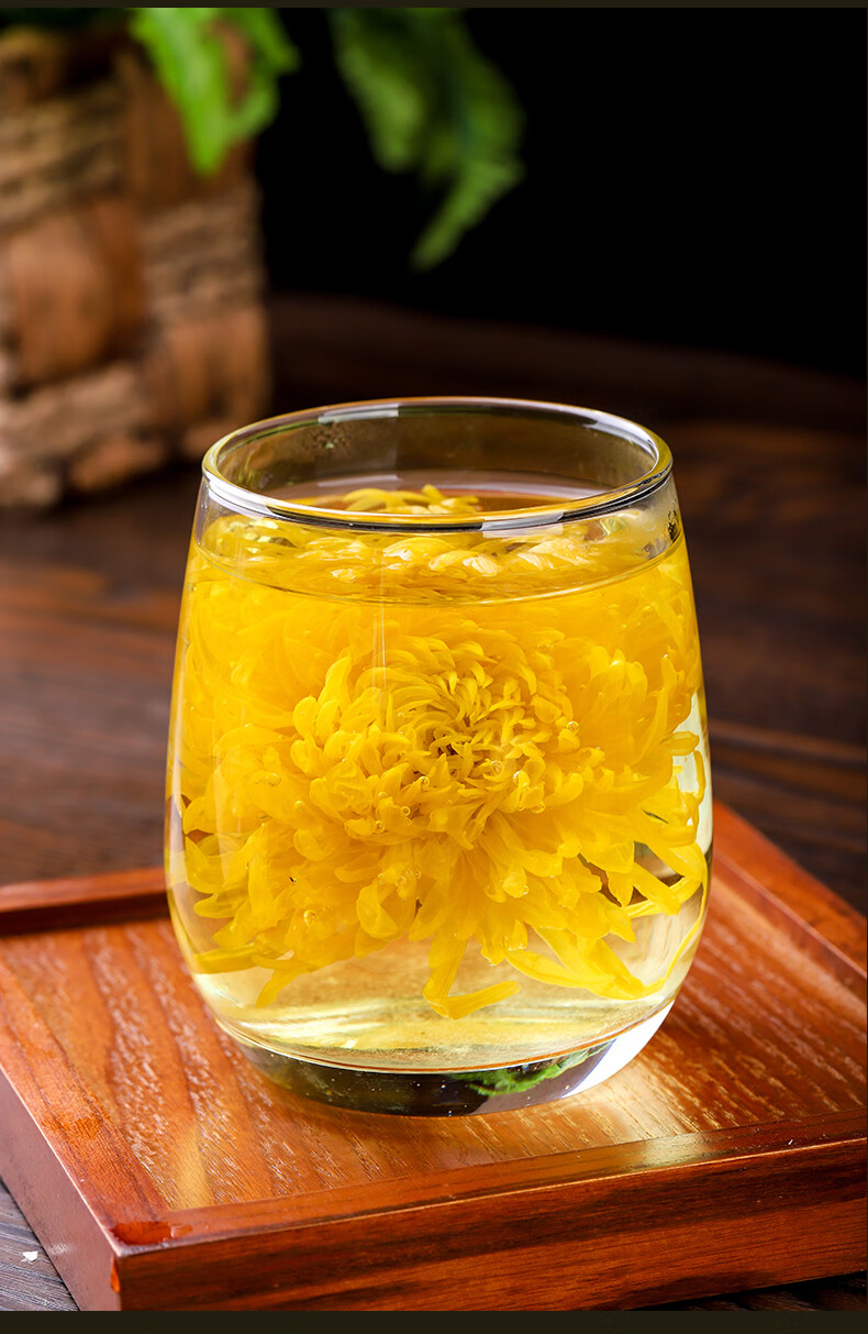 5折 菊花茶一朵一杯特大朵金丝皇菊贡菊胎菊修水金丝黄菊泡开花草茶叶