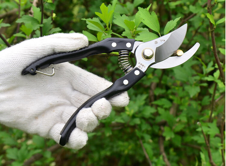 60造型工具剪芽剪刀园林果树盆景专用枝园艺修花剪树技修枝剪168