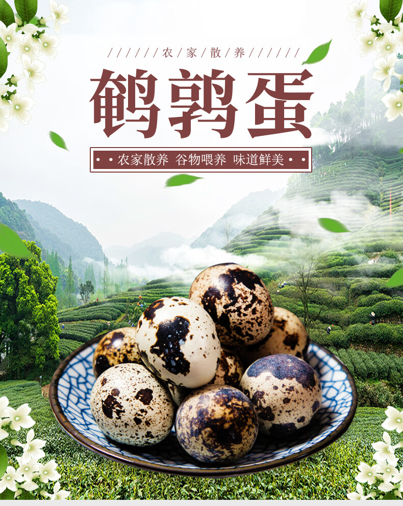 新鲜生鹌鹑蛋140枚 鹑鸟蛋 生鲜蛋农家散养谷物喂养