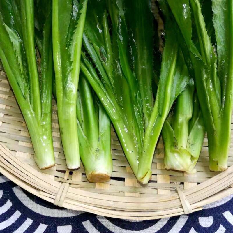 云南大香菜刺芫荽新鲜刺芹假芫茜元西缅芜荽泰国越南香菜3斤香菜带根