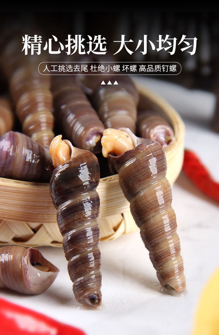 鲜活钉螺去尾免处理新鲜海螺丝钉螺海鲜水产钉螺 腾旺纳跃 4斤装