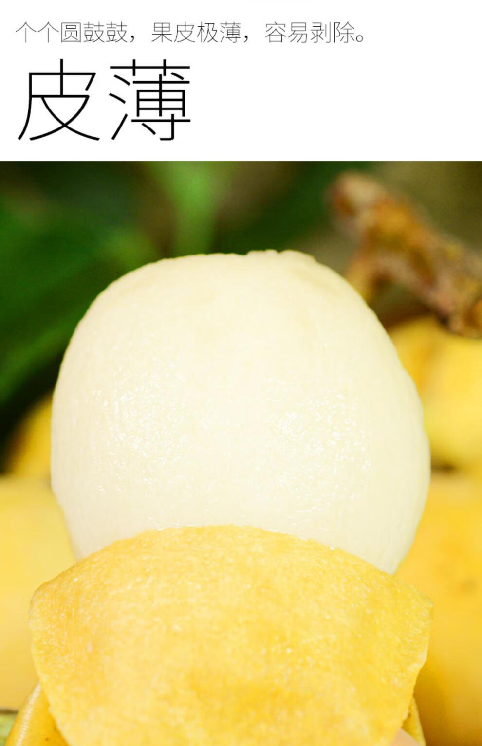 贵妃白玉枇杷高端品种5斤新鲜孕妇白沙大果水果云霄东山2500g