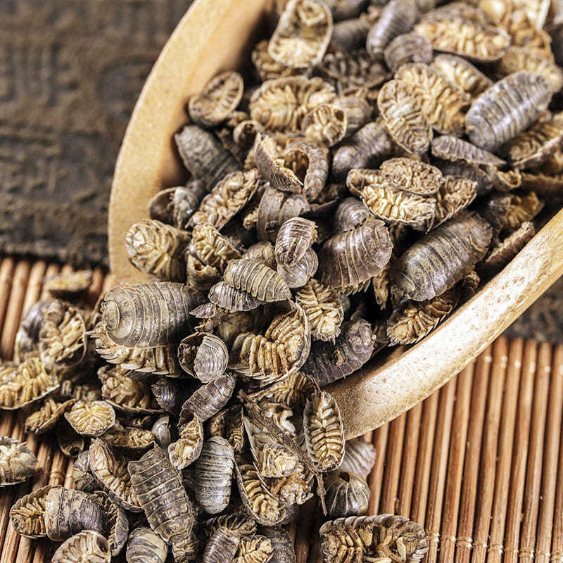 北京同仁原料堂同仁原料堂特级鼠妇虫中药材500g潮虫食用新货地虱鼠